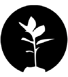 origens4